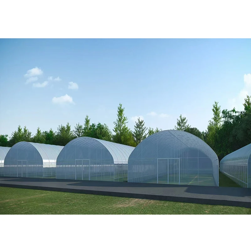 # l Low Cost Farm Singlespan G – Agriculture Farm House Bewertung und Preis