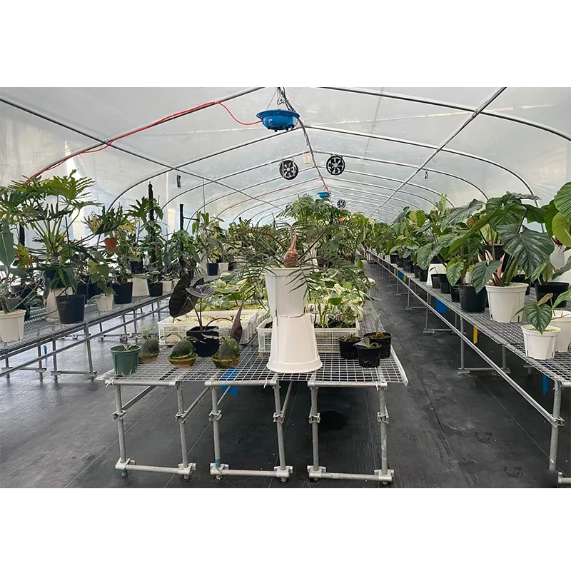 # l Low Cost Farm Singlespan G – Agriculture Farm House Bewertung und Preis