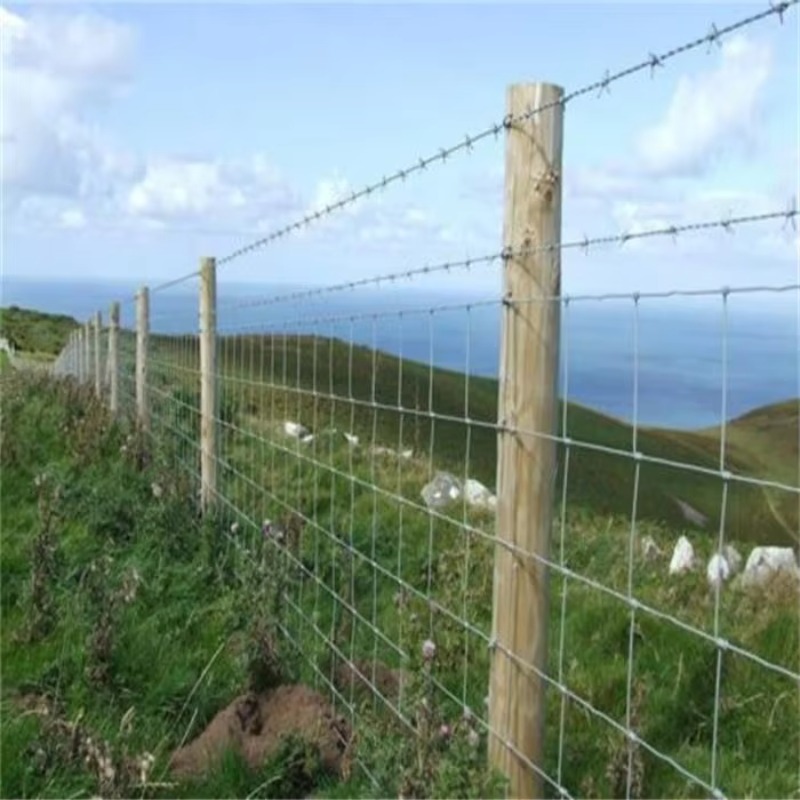 Customized Iron Wire Mesh Fixe – Farming Agriculture Bewertung und Preis