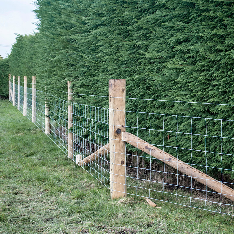 Customized Iron Wire Mesh Fixe – Farming Agriculture Bewertung und Preis