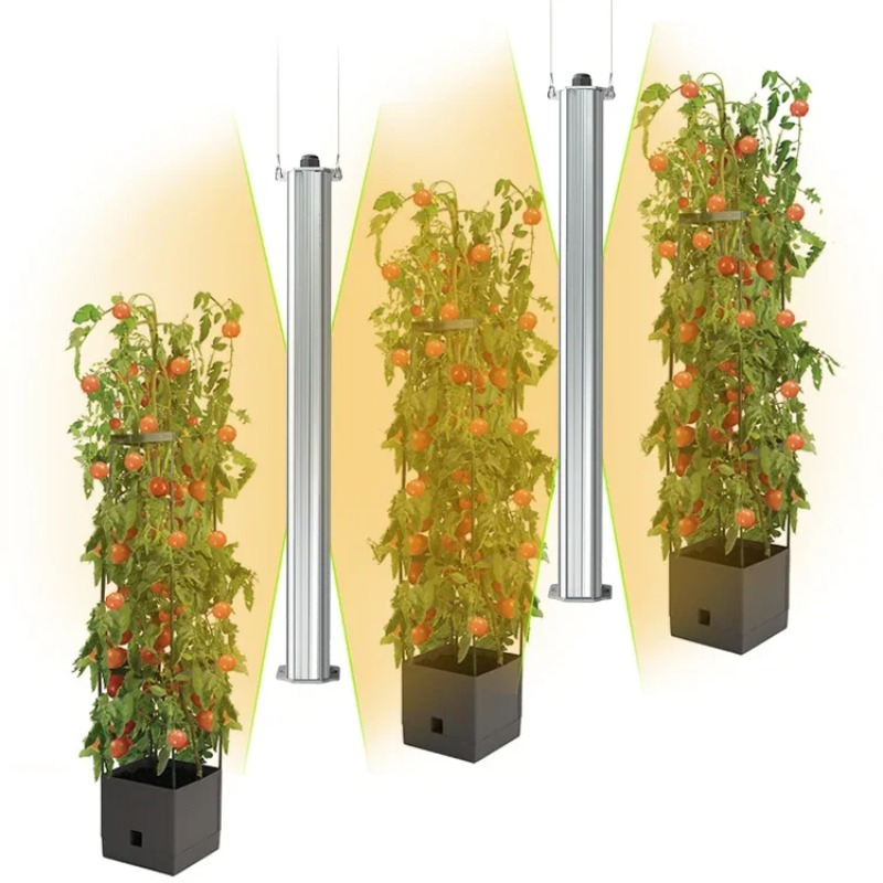 Best ETL Listed Plant Green Wa – List Of Agriculture Farming Bewertung und Preis