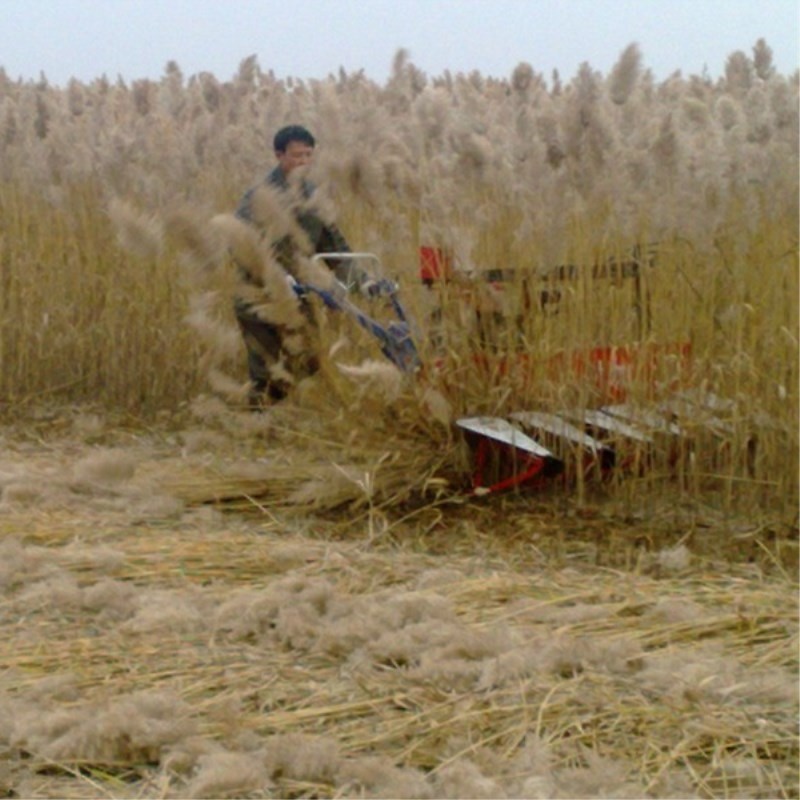 Farm Equipment Small Handy Agr – Agriculture.Farming Design Bewertung und Preis