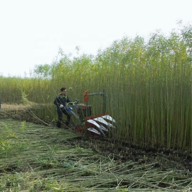 Farm Equipment Small Handy Agr – Agriculture.Farming Design Bewertung und Preis